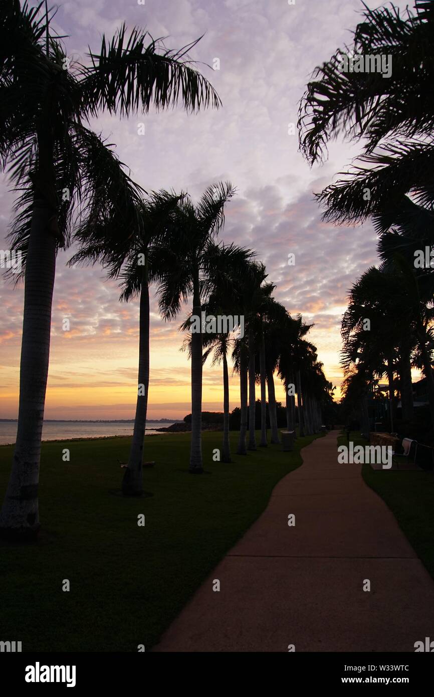 Sentier bordé de palmiers avec des silhouettes contre un ciel Aube Banque D'Images