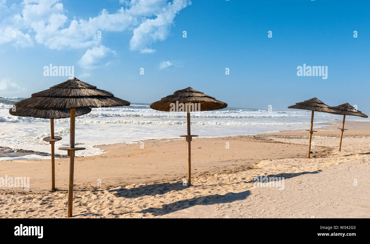Des parasols de paille à l'océan Atlantique, Portugal Banque D'Images