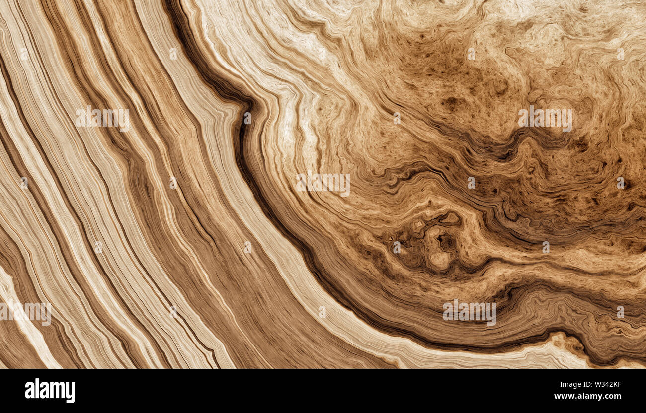 La texture des racines de l'arbre avec des lignes ondulées et anneaux d'âge. Plan des anneaux d'un arbre. Résumé La texture et l'arrière-plan. Illustration 2d Banque D'Images