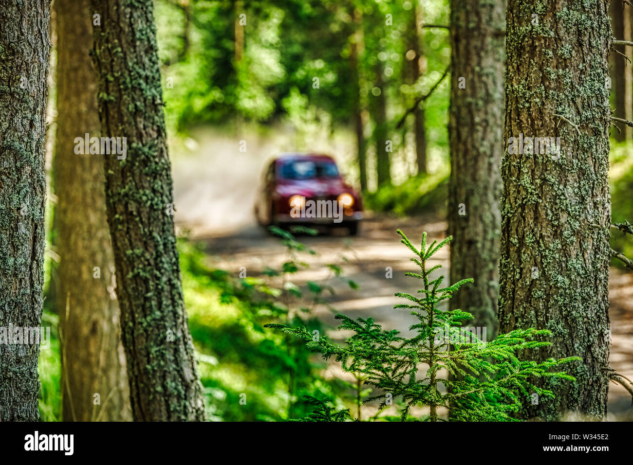 Un flou Saab V4 dans la forêt.Le Rallye de Suède pour le soleil de minuit 2019 Banque D'Images