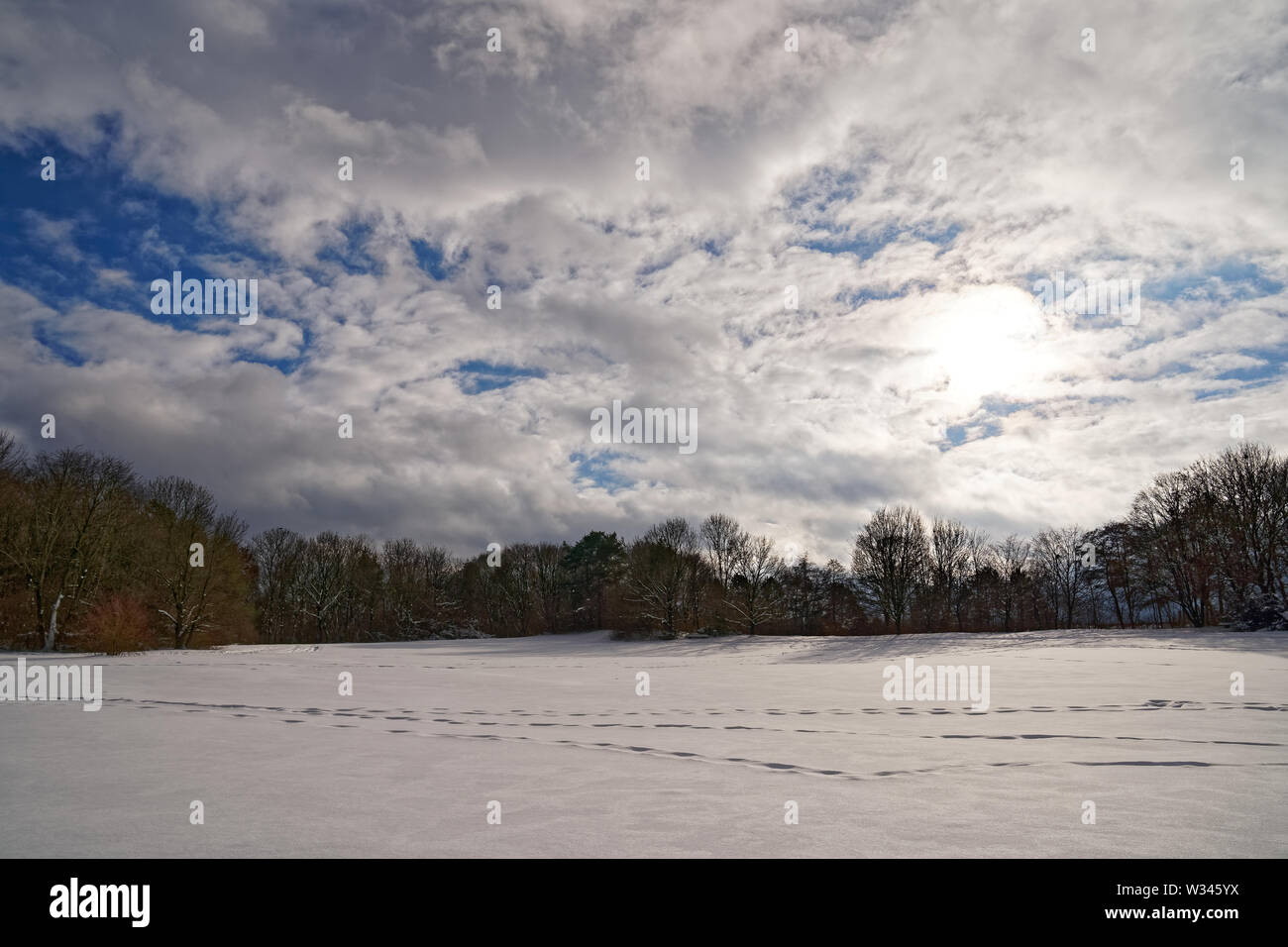 Loipe ski, ski de fond à Munich (München) Ostpark Banque D'Images