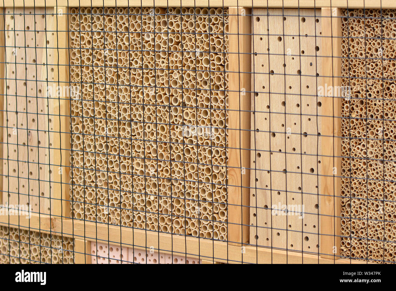 Gros plan d'une maison d'insectes en bois de la structure de l'hôtel créé pour fournir un abri pour les insectes comme les abeilles pour empêcher l'extinction Banque D'Images