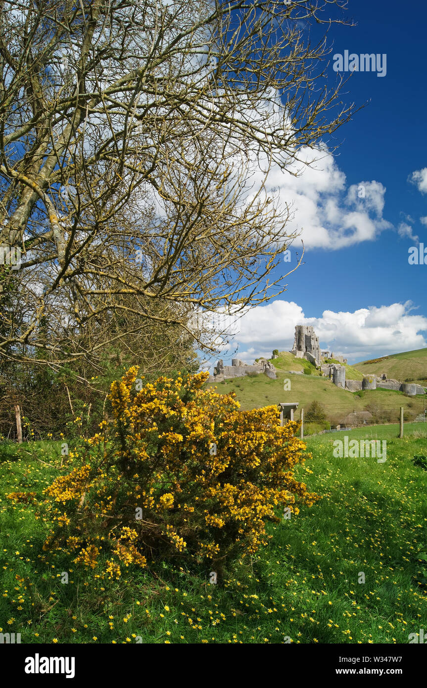 UK,Dorset, Corfe Castle Banque D'Images