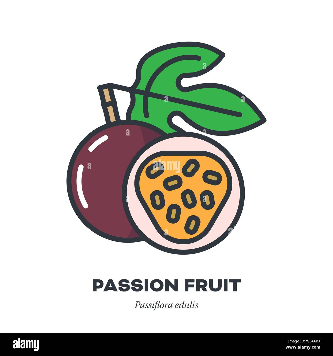 Les fruits de la passion, l'icône colore fill style vector illustration, fruits entiers avec feuille et section Illustration de Vecteur