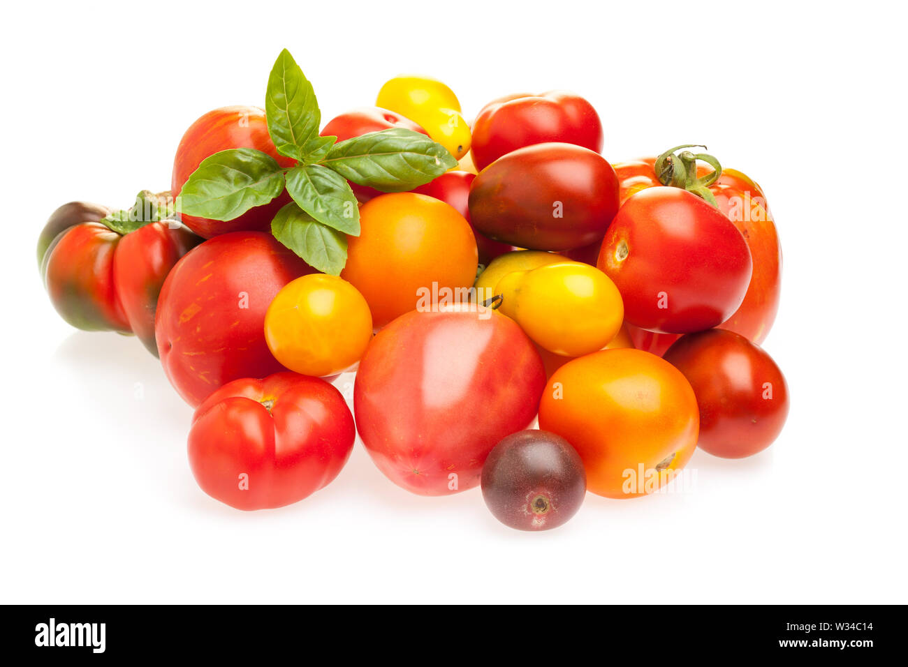 Différents types de tomate sur fond blanc Banque D'Images