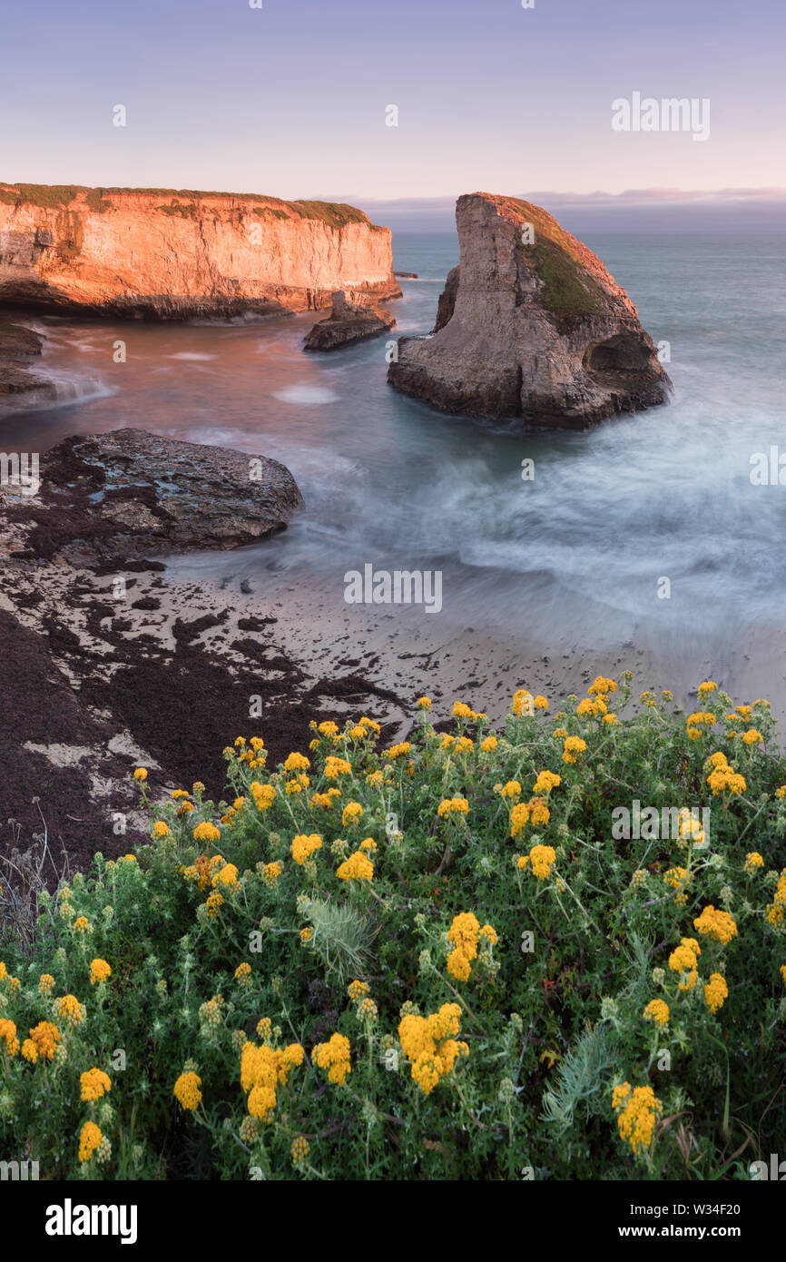 Vue panoramique sur Shark fin Cove (Shark Tooth Beach). Davenport, comté de Santa Cruz, Californie, États-Unis. Coucher de soleil en Californie - vagues et soleil frappant Banque D'Images