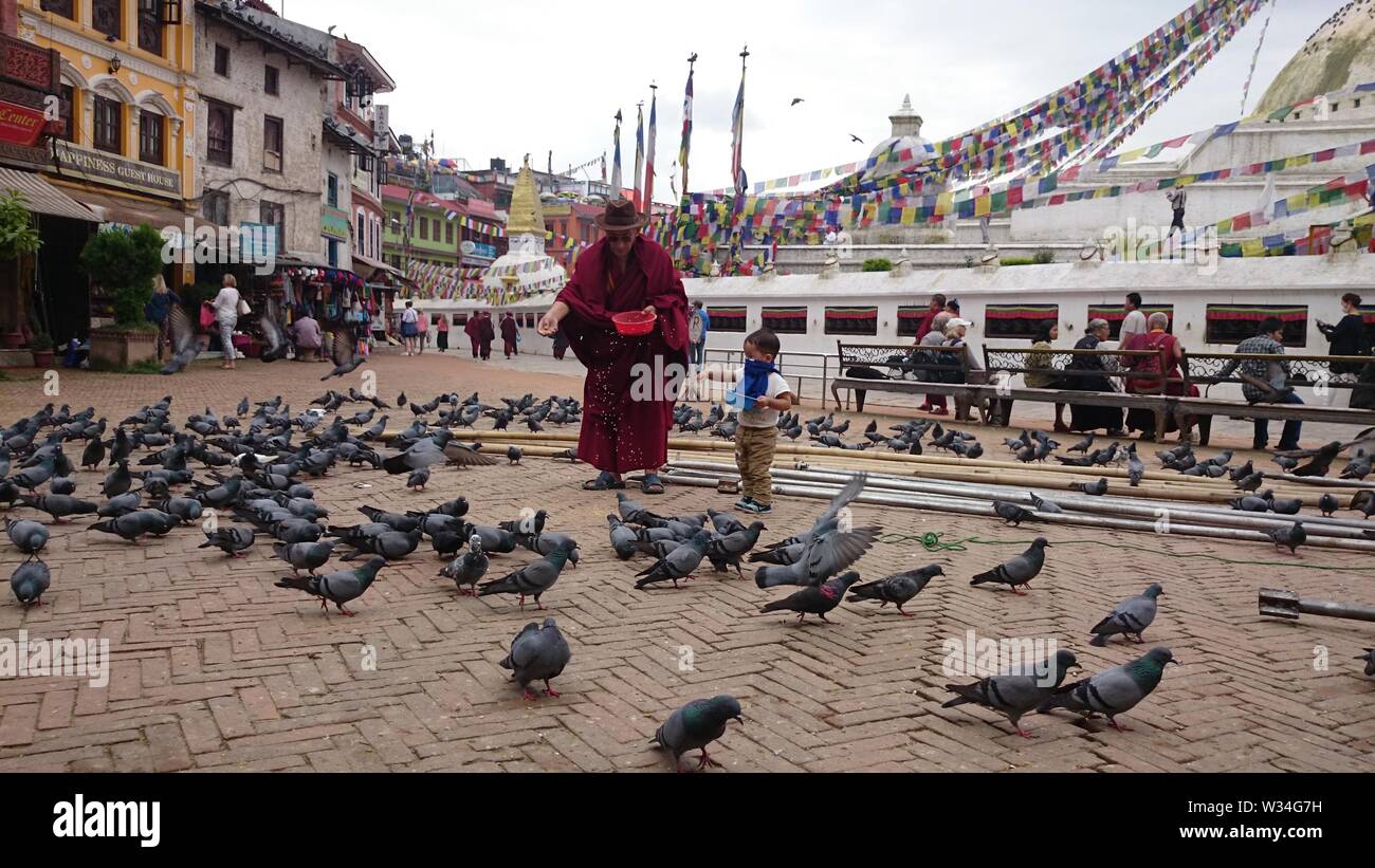 Le moine bouddhiste et petit garçon nourrir les pigeons avec un temple bouddhiste derrière Banque D'Images