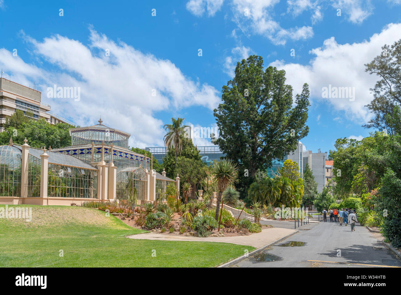Jardin Botanique d'Adélaïde avec le Palm House à gauche, Adélaïde, Australie du Sud, Australie Banque D'Images