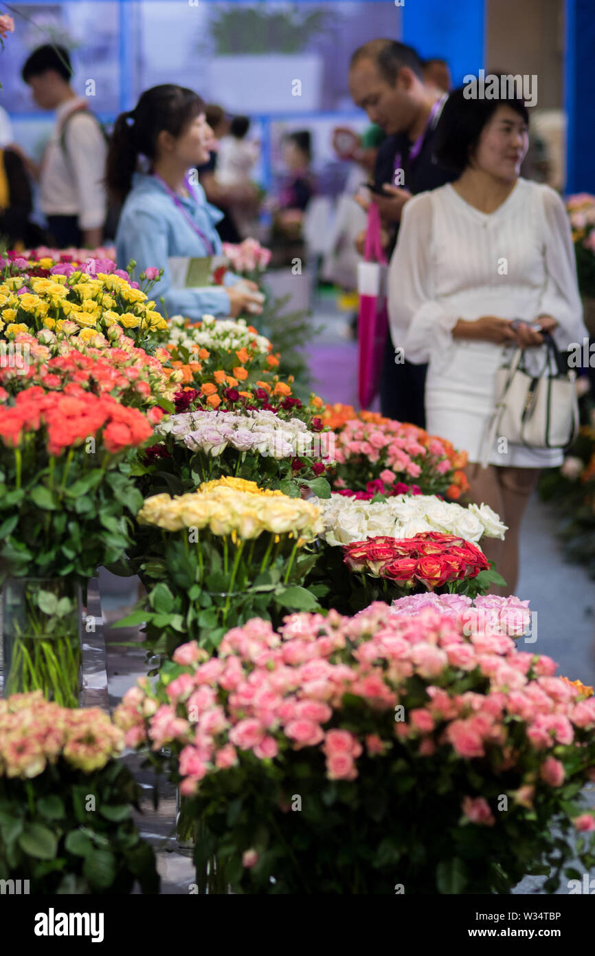 Kunming, province chinoise du Yunnan. 12 juillet, 2019. Personnes visitent la 20e Kunming International Flower Expo de Chine à Kunming International Dianchi Convention and Exhibition Centre à Kunming, capitale du sud-ouest de la province chinoise du Yunnan, le 12 juillet 2019. Plus de 400 exposants de 19 pays assistent à l'expo qui a donné le coup d'ici vendredi. Credit : Hu Chao/Xinhua/Alamy Live News Banque D'Images