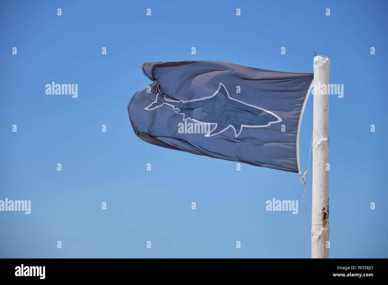 Drapeau noir avec shark volant dans le vent sur un poteau blanc contre un ciel bleu. Banque D'Images
