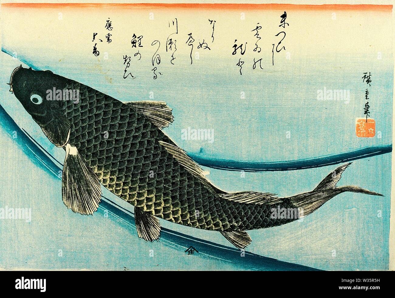 鯉 Koi (CARPE) estampe de Utagawa Hiroshige la série Uozukushi (chaque variété de poissons ou un banc de poissons) circa 1830s ou 40s Banque D'Images