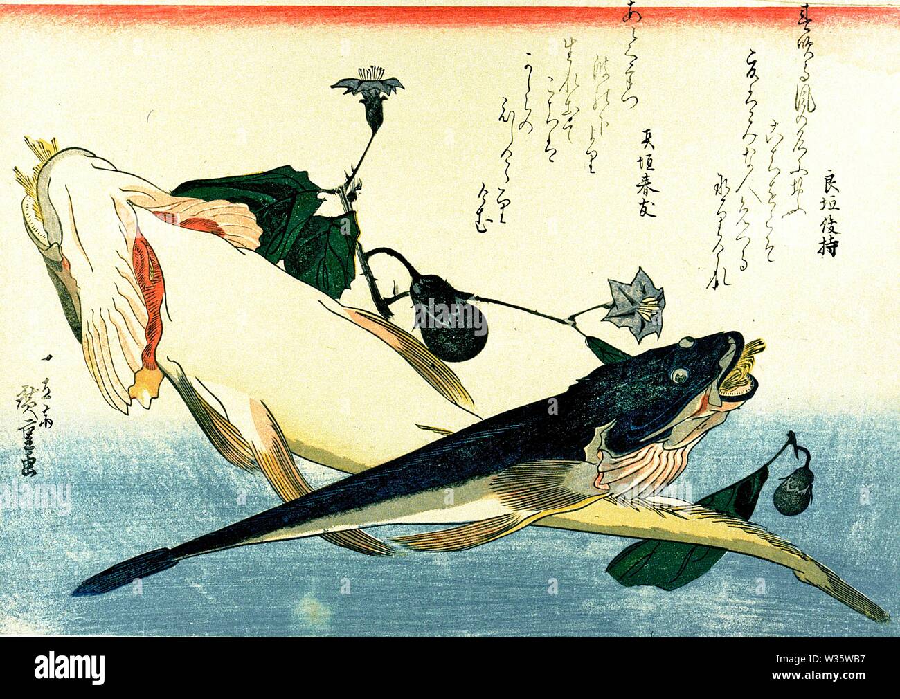 鯒 Flathead (Kochi) estampe de Utagawa Hiroshige la série Uozukushi (toutes les variétés de poissons) vers 1830 ou 1840 Banque D'Images