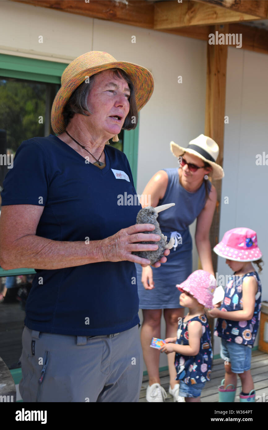 ATARAU, Nouvelle-Zélande, le 23 juin 2019 : Jo conservationist est titulaire d'un Keppell kiwi farci au cours d'une conférence publique sur le travail impliqué dans un élevage en captivité Banque D'Images