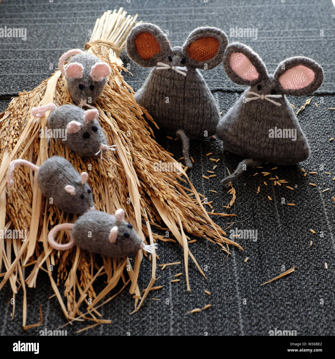 Groupe de tricot fait main gris souris sur la gerbe de plants de riz, avec fond noir, rat d'artisanat à partir de fils si mignon et gentil, significatifs pour cadeau ou Banque D'Images