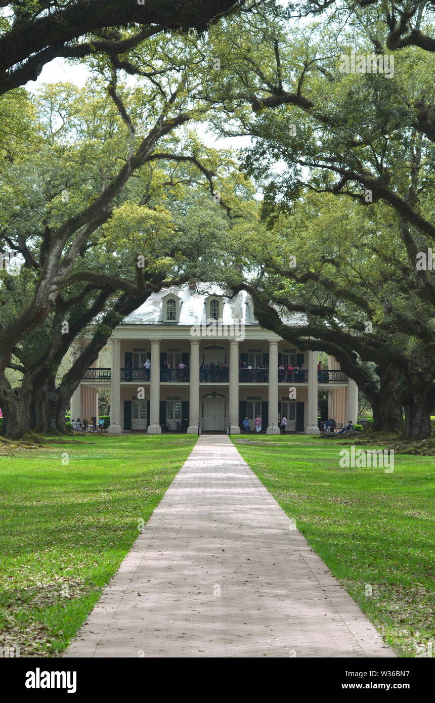 PLANTATION DE RUELLES EN CHÊNE, LOUISIANE/USA - 19 AVRIL 2019 - Grande maison de rapport à la fin de la ruelle en chêne vivant (Quercus virginiana) Banque D'Images