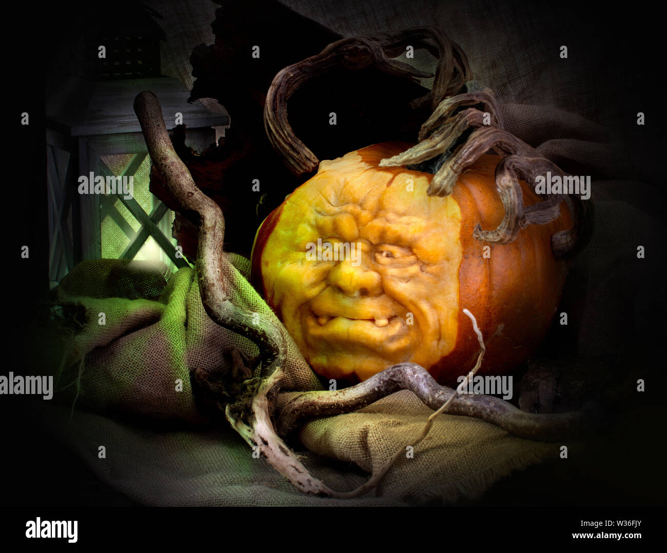 L'art des aliments et légumes melons pumpkin carving par artiste culinaire angkana neumayer d'autriche Banque D'Images