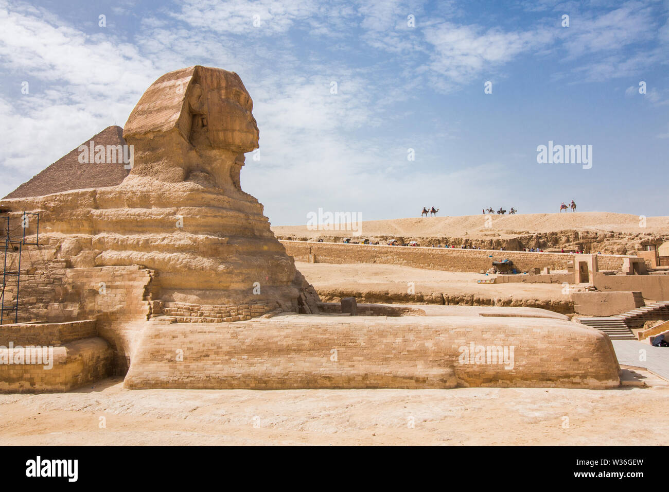 Le grand Sphinx de Gizeh le plateau avec les pyramides et les chameaux en arrière-plan. Banque D'Images