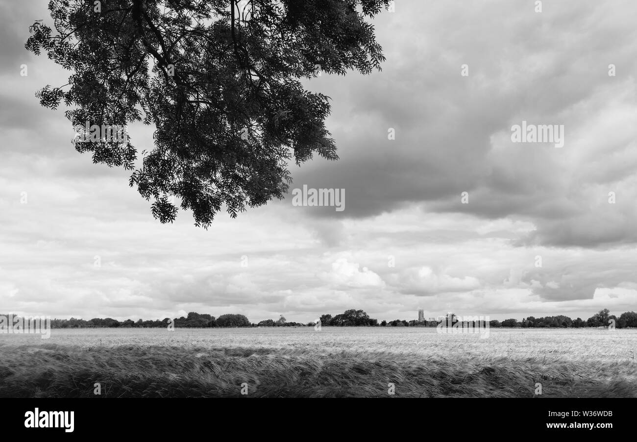 Belle campagne anglaise avec champ de blé et ancien ministre à l'horizon sur matin lumineux sous ciel bleu à Beverley, Y Banque D'Images