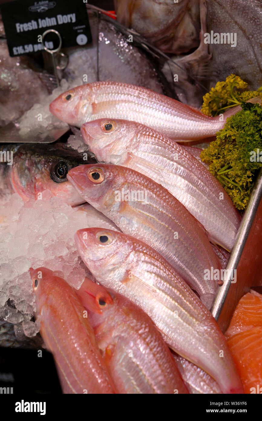 Vue verticale de thread fin dorade au marché central de Cardiff Ashton poissonniers vendant du poisson frais dans le centre-ville de Cardiff au Pays de Galles au Royaume-Uni. KATHY DEWITT Banque D'Images