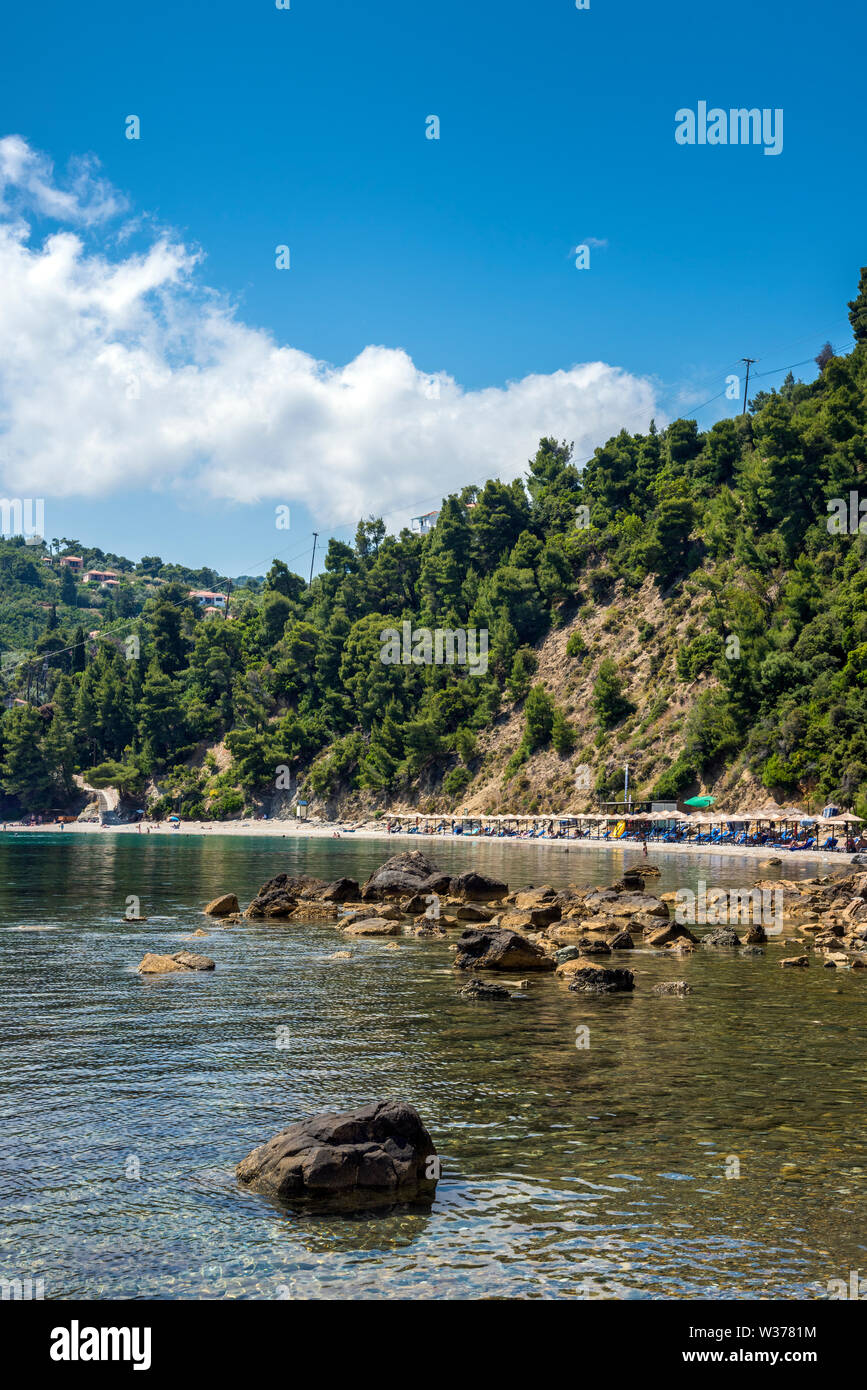 Staffilos Beach, Skopelos, Sporades du Nord de la Grèce. Banque D'Images