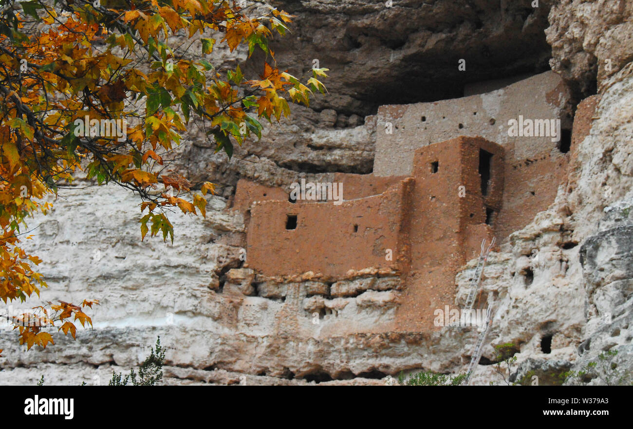 Couleurs d'automne à l'ancienne 12ème siècle étonnant Cliff dwellings du Singua personnes au Montezuma Castle National Monument près de Sedona, Arizona, Banque D'Images