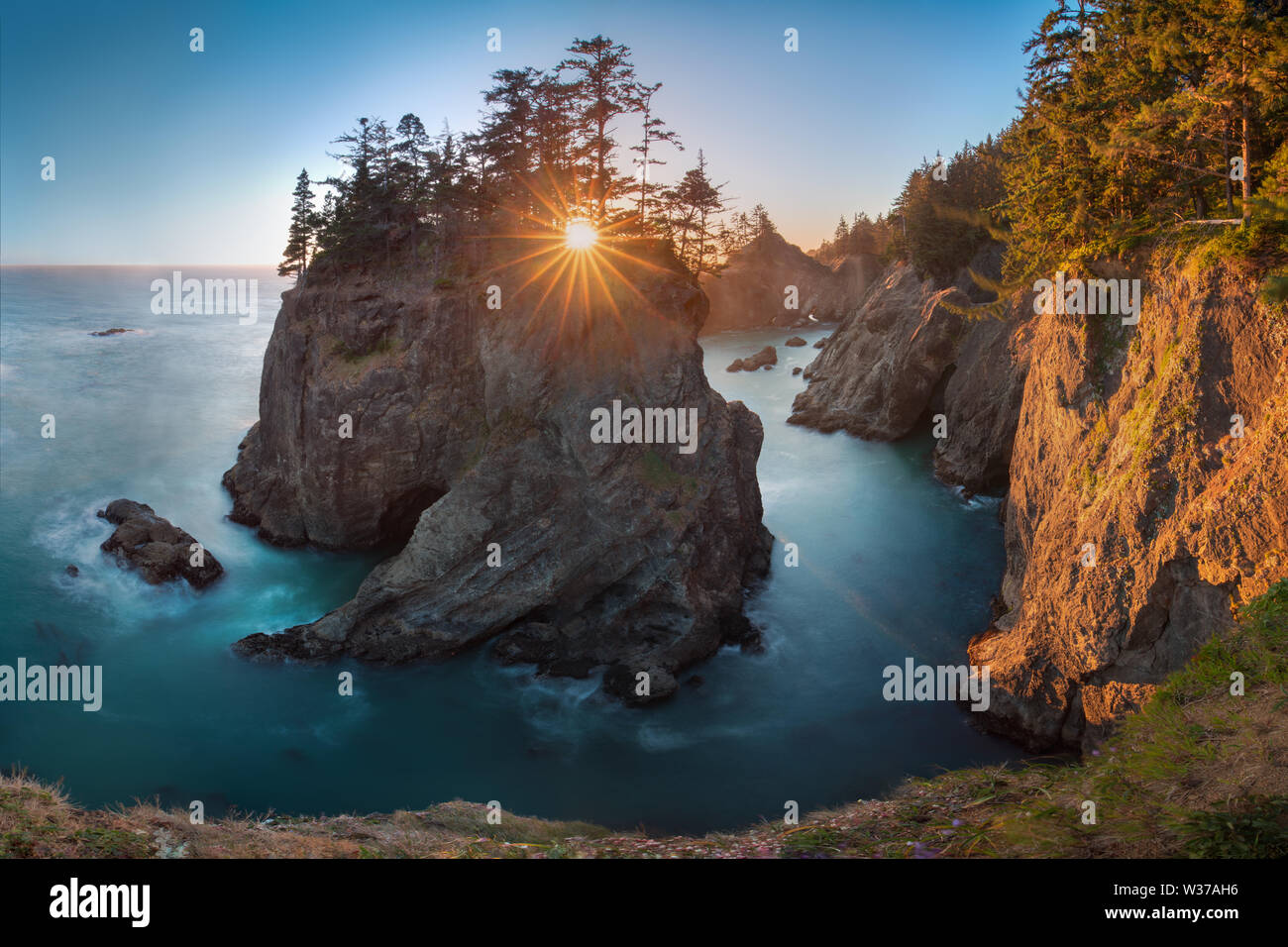 Coucher de soleil au couloir panoramique de l'État de Samuel H. Boardman, Oregon pendant une heure d'or coucher de soleil - rayons du soleil à travers les arbres avec une végétation dense. Belle mer Banque D'Images