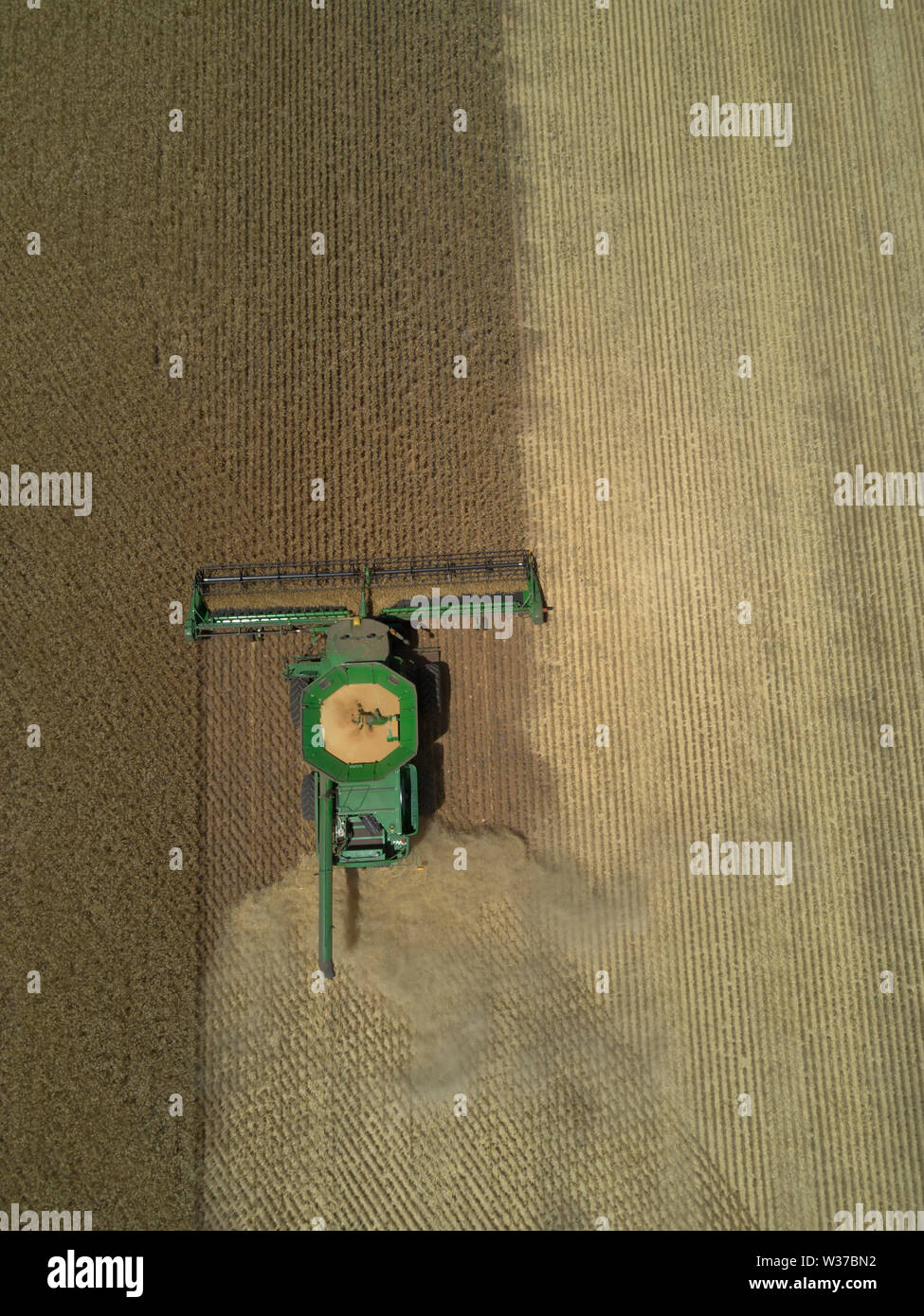 Vue aérienne de nadir moissonneuse-batteuse récolte du blé dans de grands enclos Eyre péninsule Sud de l'Australie Banque D'Images