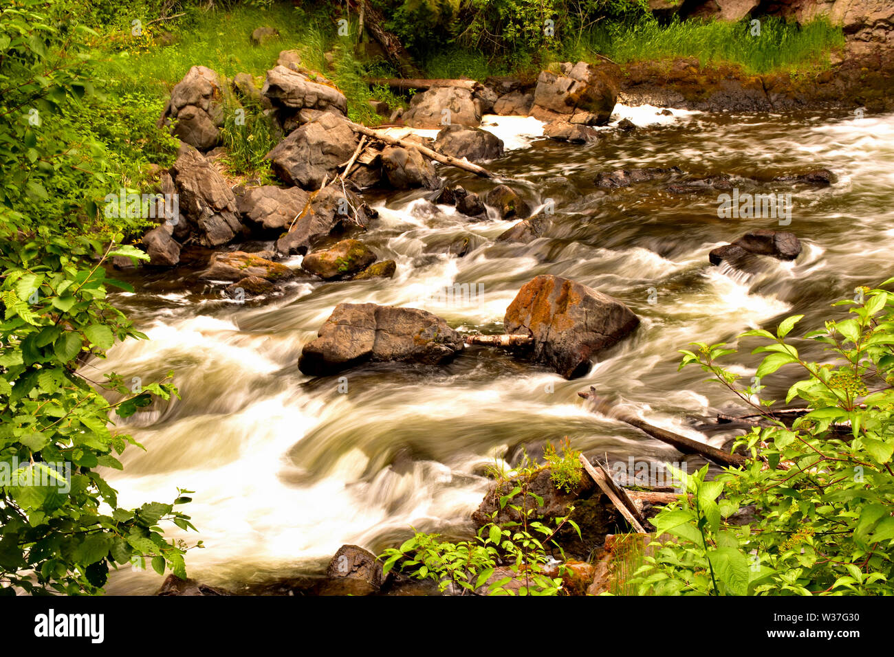 Une partie du réseau de sentiers au parc Centennial à 100 Mile House, BC, Canada. Banque D'Images