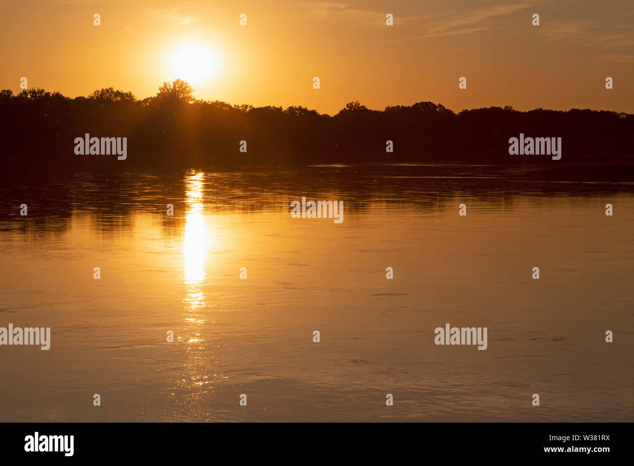 Un coucher de soleil d'été sur l'Elbe à Dessau, en Saxe Anhalt, Allemagne. Les arbres sont détourés le long de la voie navigable. Banque D'Images