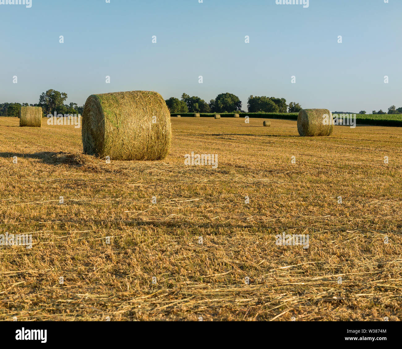 Les grosses bottes de foin dans le champ de foin au coucher du soleil Banque D'Images