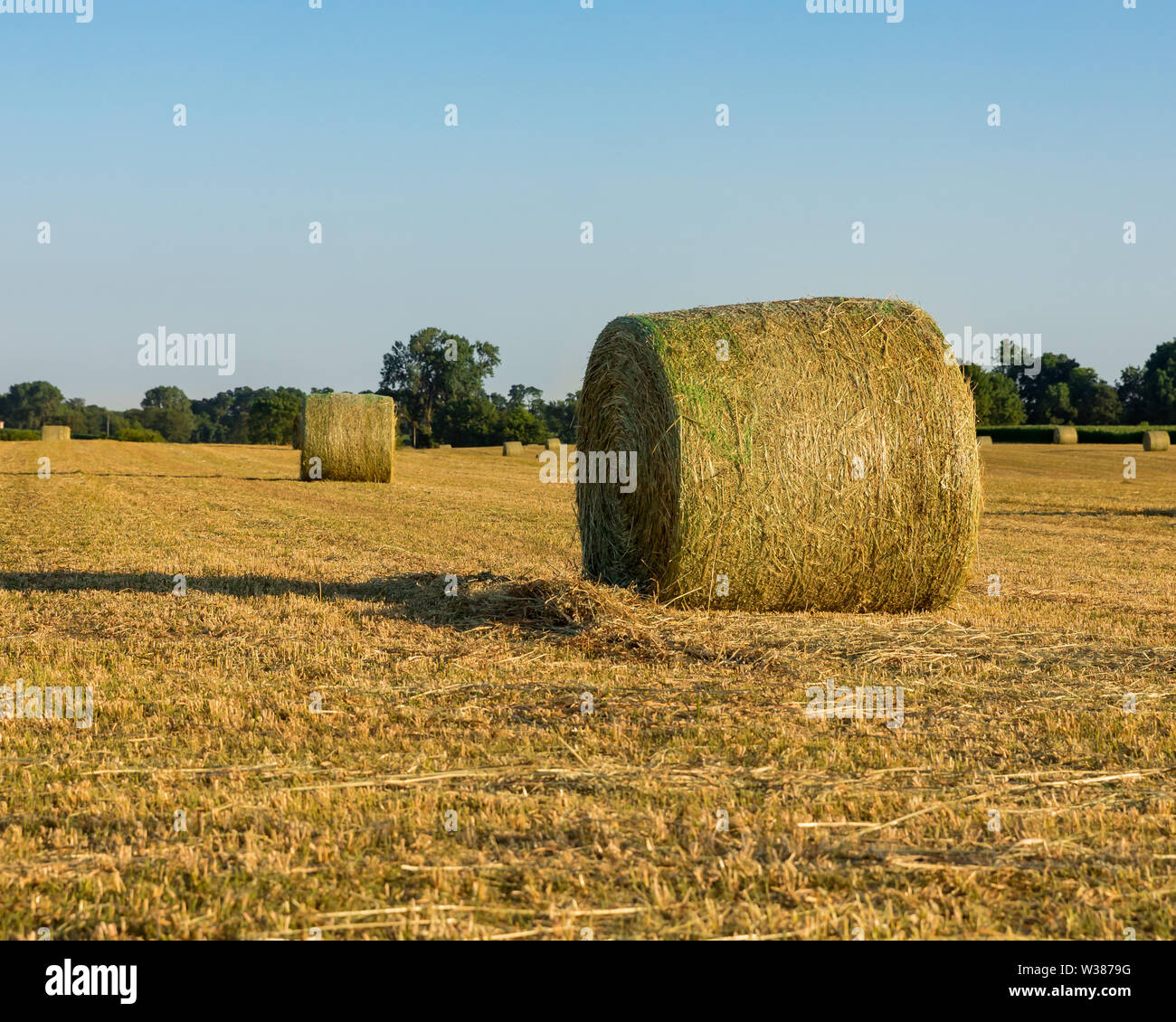 Les grosses bottes de foin dans le champ de foin au coucher du soleil Banque D'Images