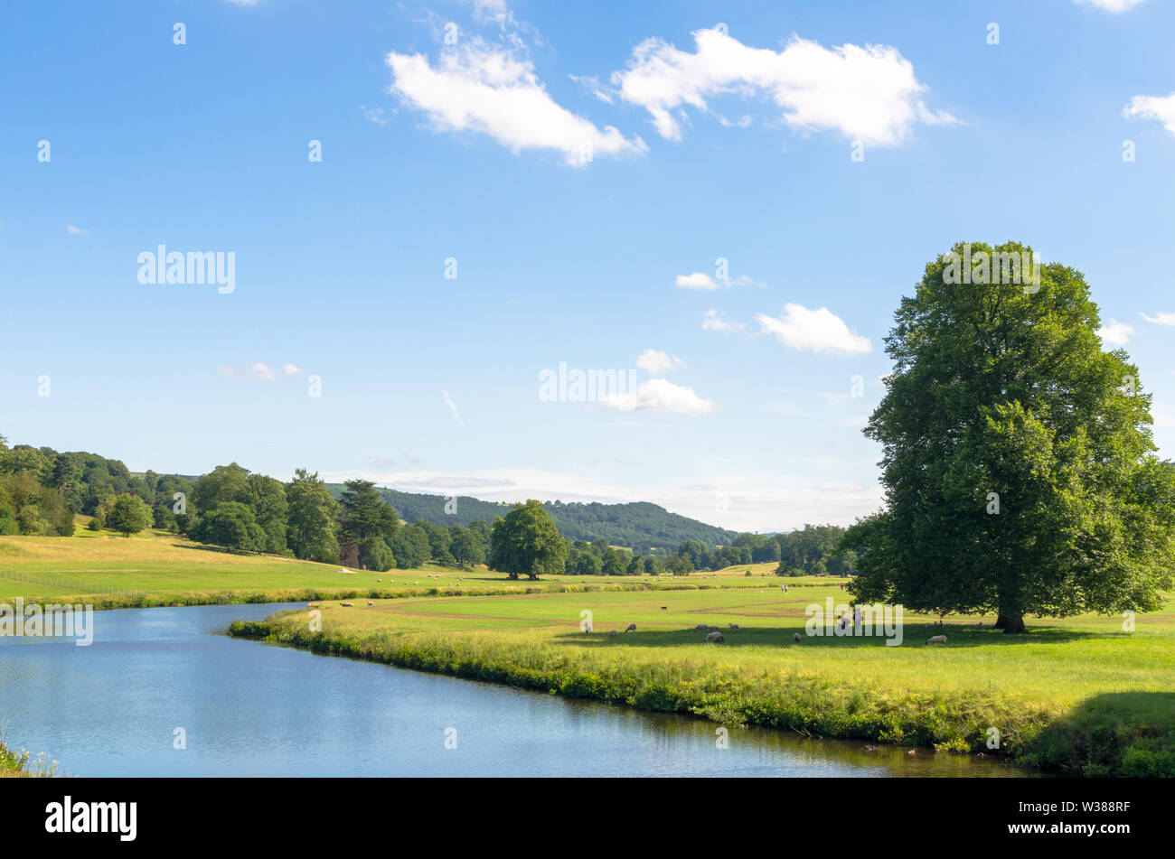 Derwent River en été, Peak District, Derbyshire, Angleterre Banque D'Images