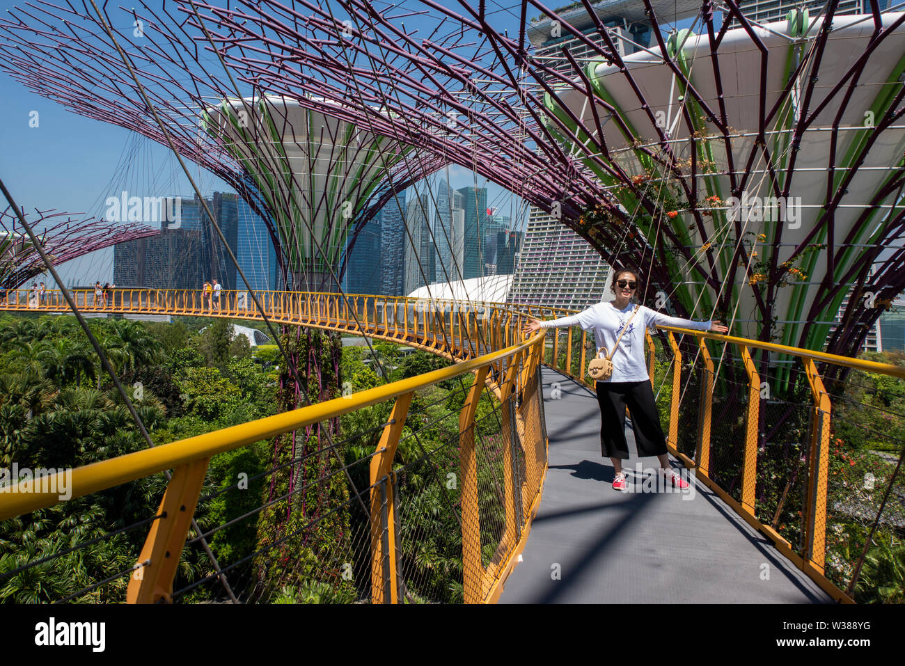 Singapour, les jardins de la baie, Supertree Grove, les jardins verticaux jusqu'à 16 étages. OCBC Skyway. Banque D'Images
