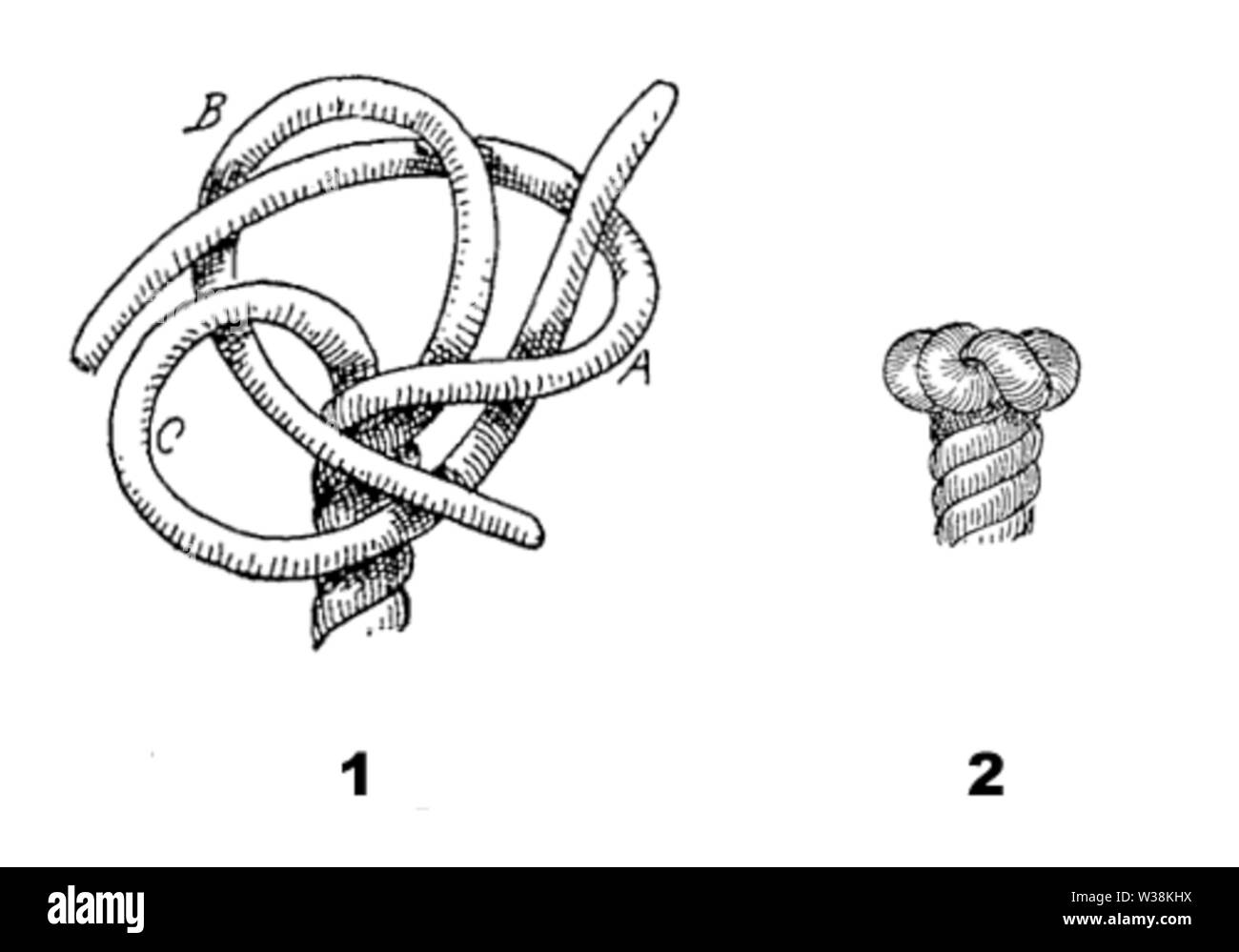 Wall knot Banque D'Images