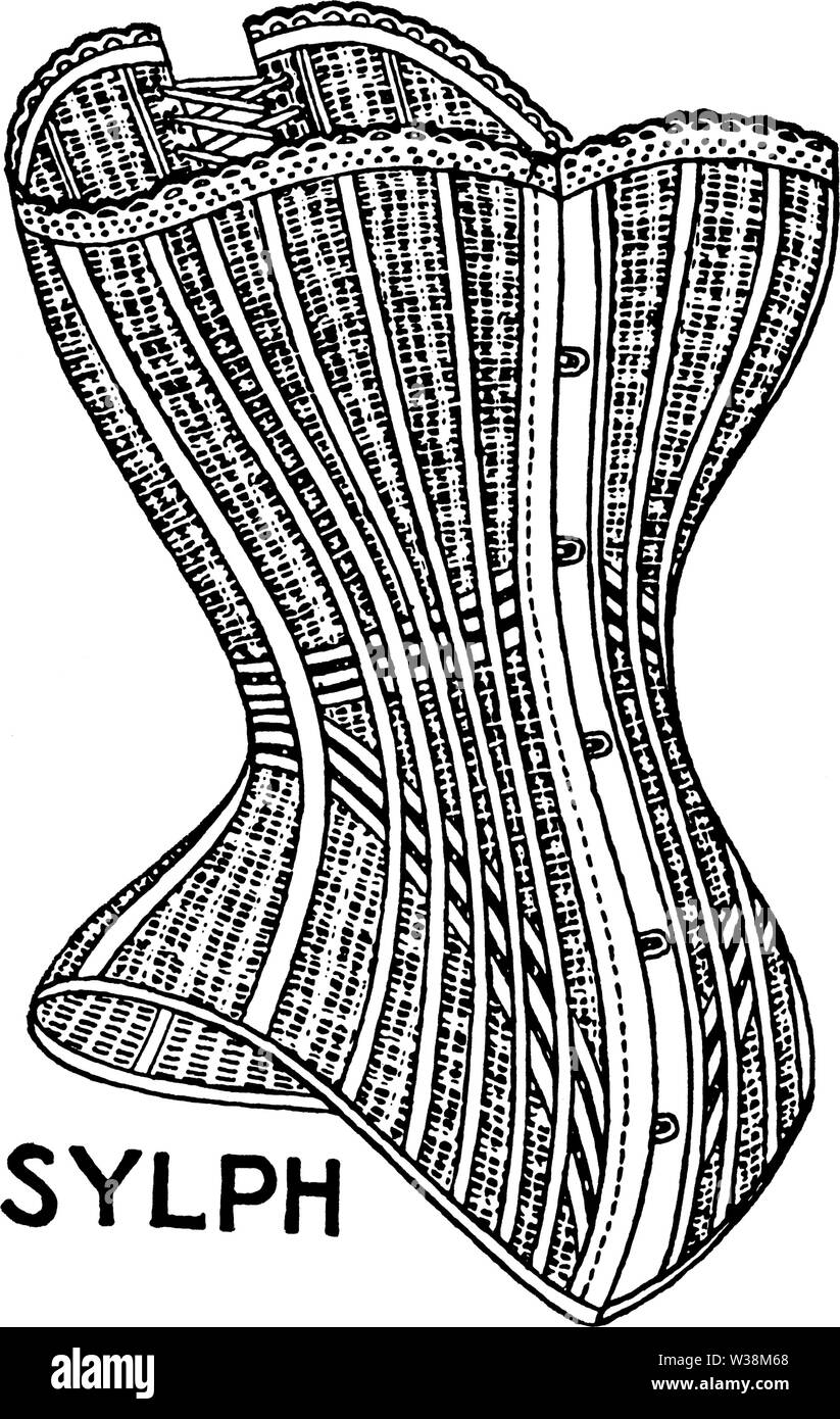 Warner'SSYLPH Banque D'Images