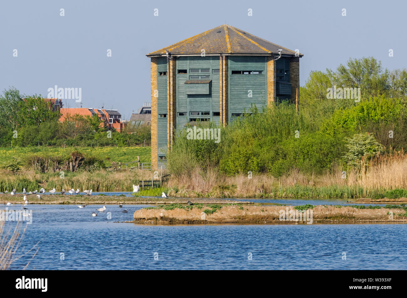 Peacock Tower hide oiseau au WWT London Wetland Center à Barnes, Londres, Angleterre, Royaume-Uni, Royaume-Uni Banque D'Images