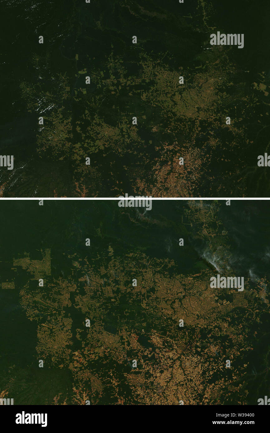 Les patrons de la déforestation dans la forêt tropicale entre 2001 et 2019 dans la région de Rondônia au Brésil - éléments de cette image fournie par la NASA Banque D'Images