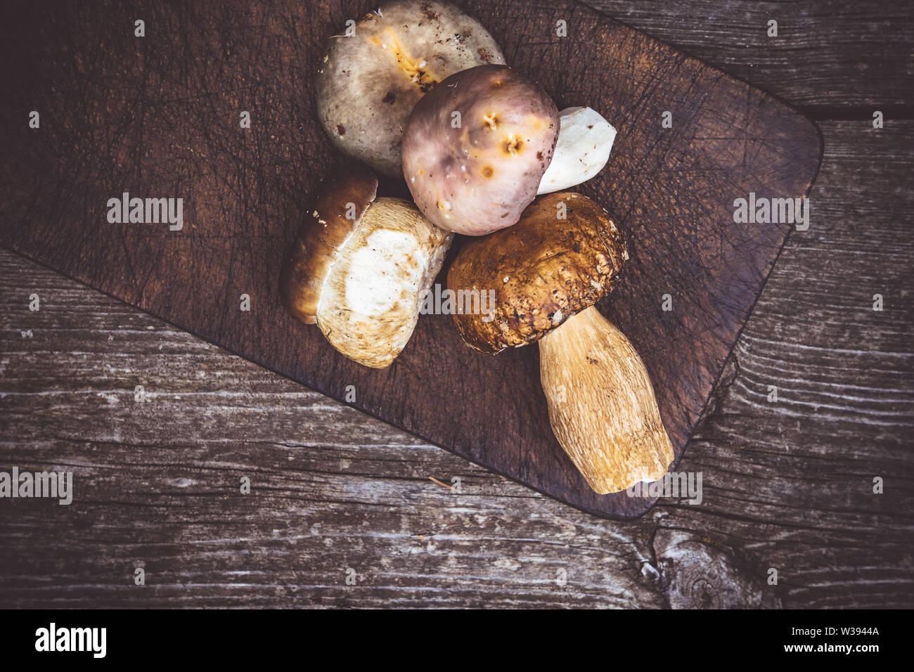 Types de délicieux champignons sauvages comestibles Brown sur planche en bois. Nature et aliments sains Concept. Banque D'Images