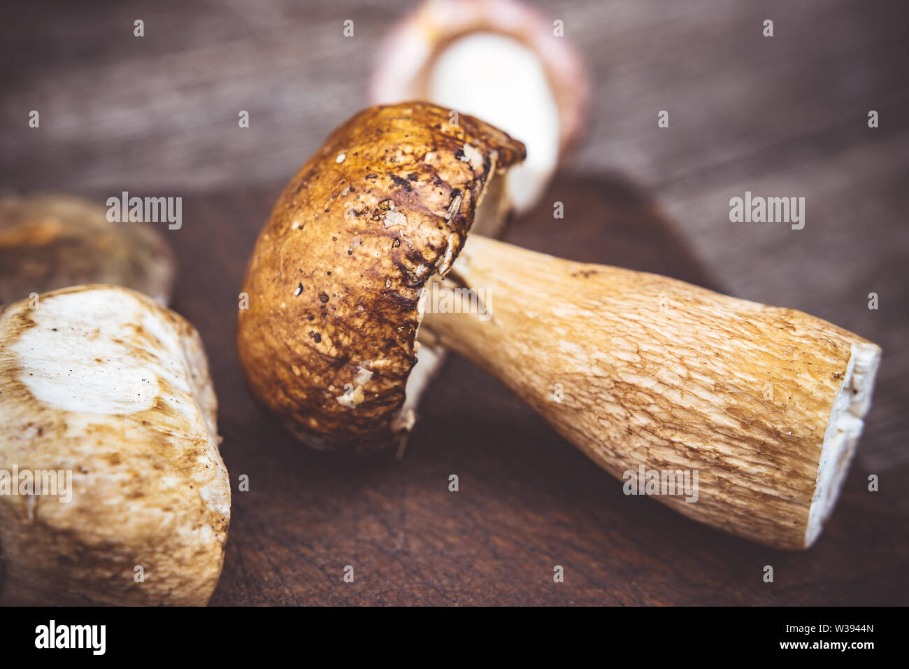 Types de délicieux champignons sauvages comestibles Brown sur planche en bois. Nature et aliments sains Concept. Banque D'Images