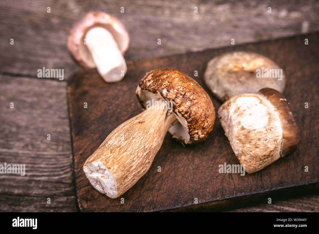 Types de délicieux champignons sauvages comestibles Brown sur planche en bois. Nature et aliments sains Concept. Banque D'Images