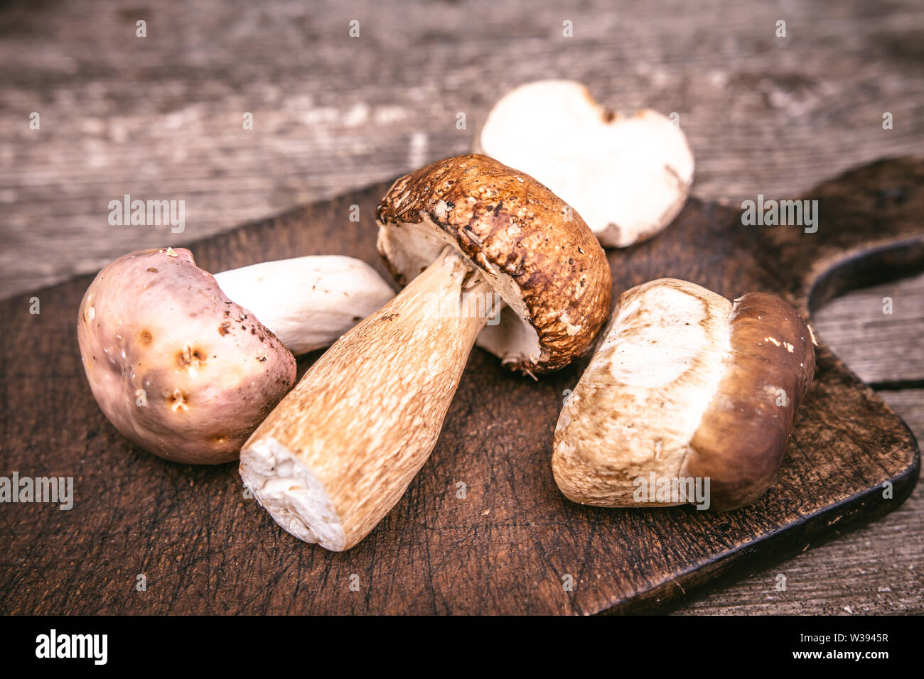 Types de délicieux champignons sauvages comestibles Brown sur planche en bois. Nature et aliments sains Concept. Banque D'Images