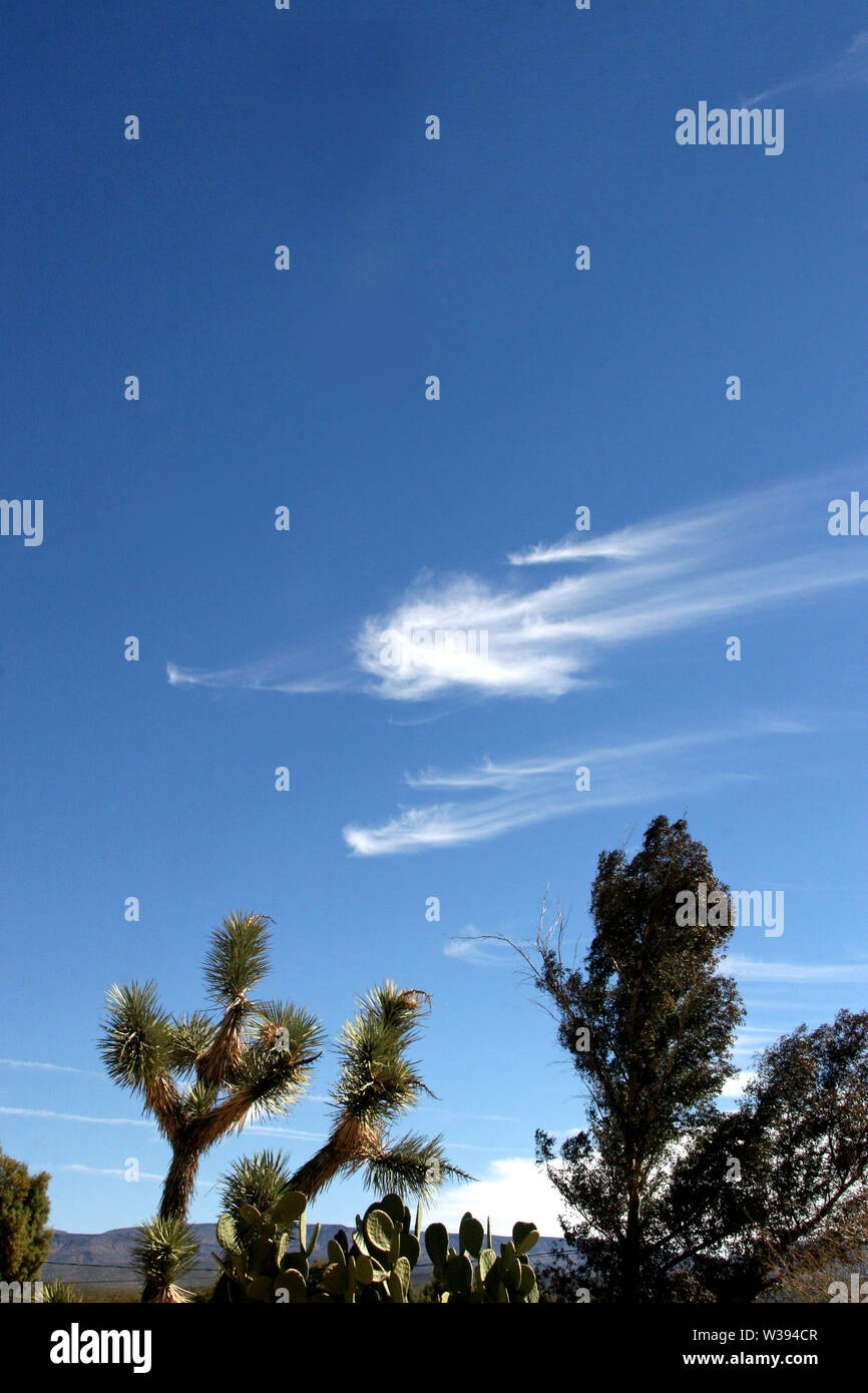 Montagnes du désert de l'arizona cactus désert nuages Banque D'Images