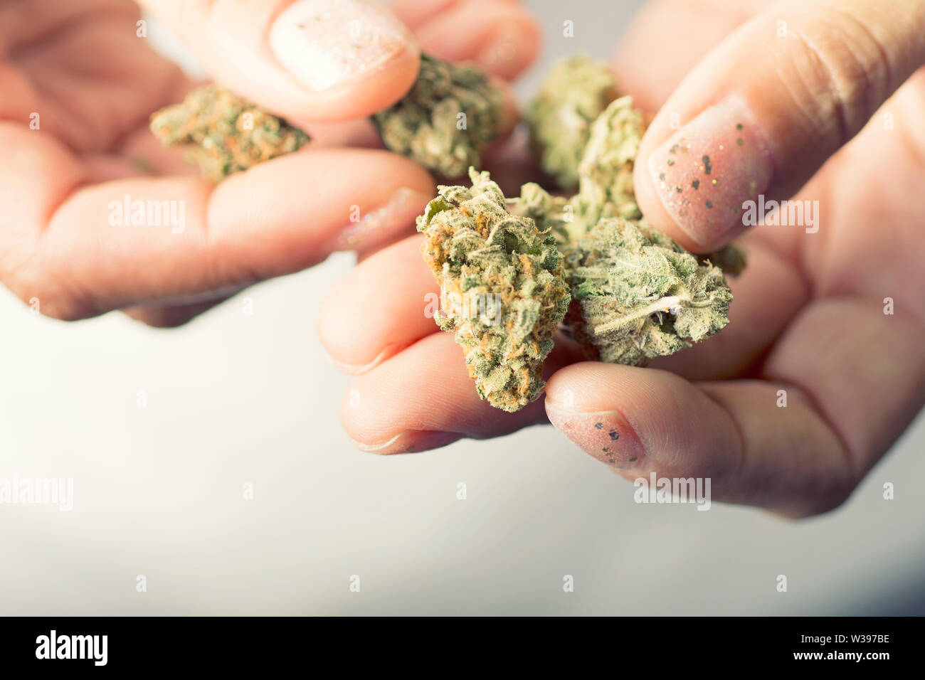 Mains tenant les bourgeons de cannabis, de la marijuana séchée, la lutte contre les mauvaises herbes Banque D'Images