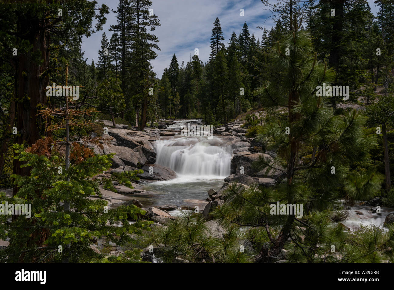 Abaisser Bassi Falls à l'Eldorado National Forest, Californie, USA, dans le début de l'été 2019, l'exposition, avec le llong t de conifères Banque D'Images