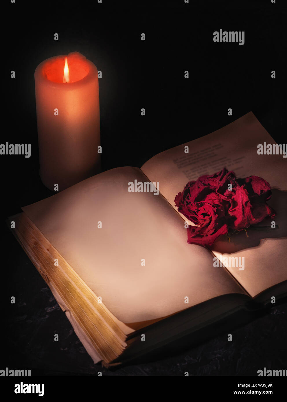 Une rose rouge fanée, shot close-up, se trouve sur les pages d'un livre ouvert, à côté d'une bougie brûle. page blanche, de l'espace pour texte, copyspace. Banque D'Images
