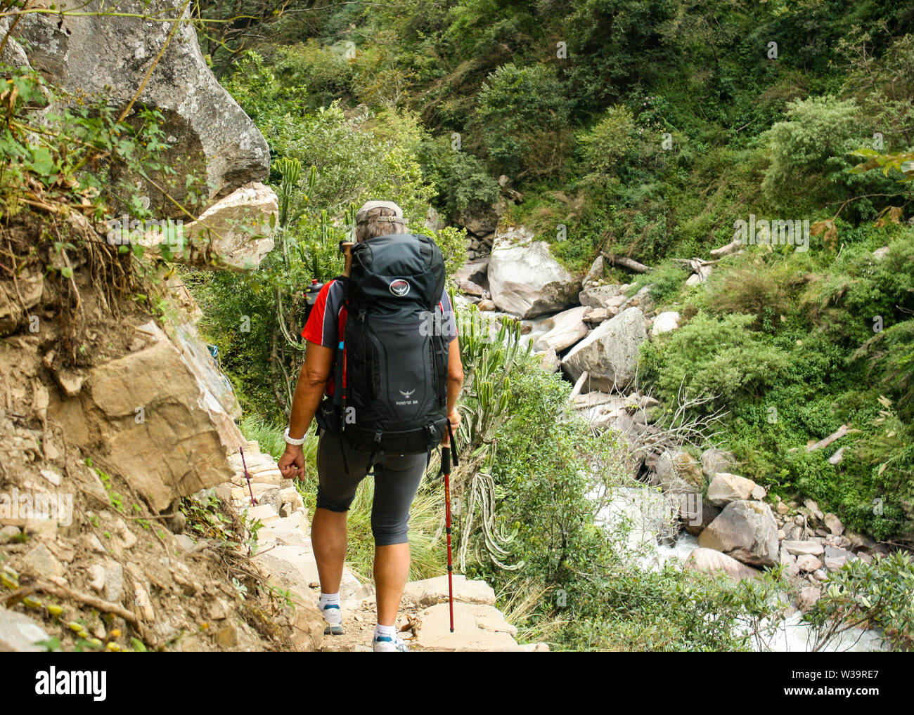 Langtang National Park est un des domaines importants pour la randonnée et la découverte de la culture tibétaine. Plus le point focus sont Langtang Valley, Kyanjin Banque D'Images