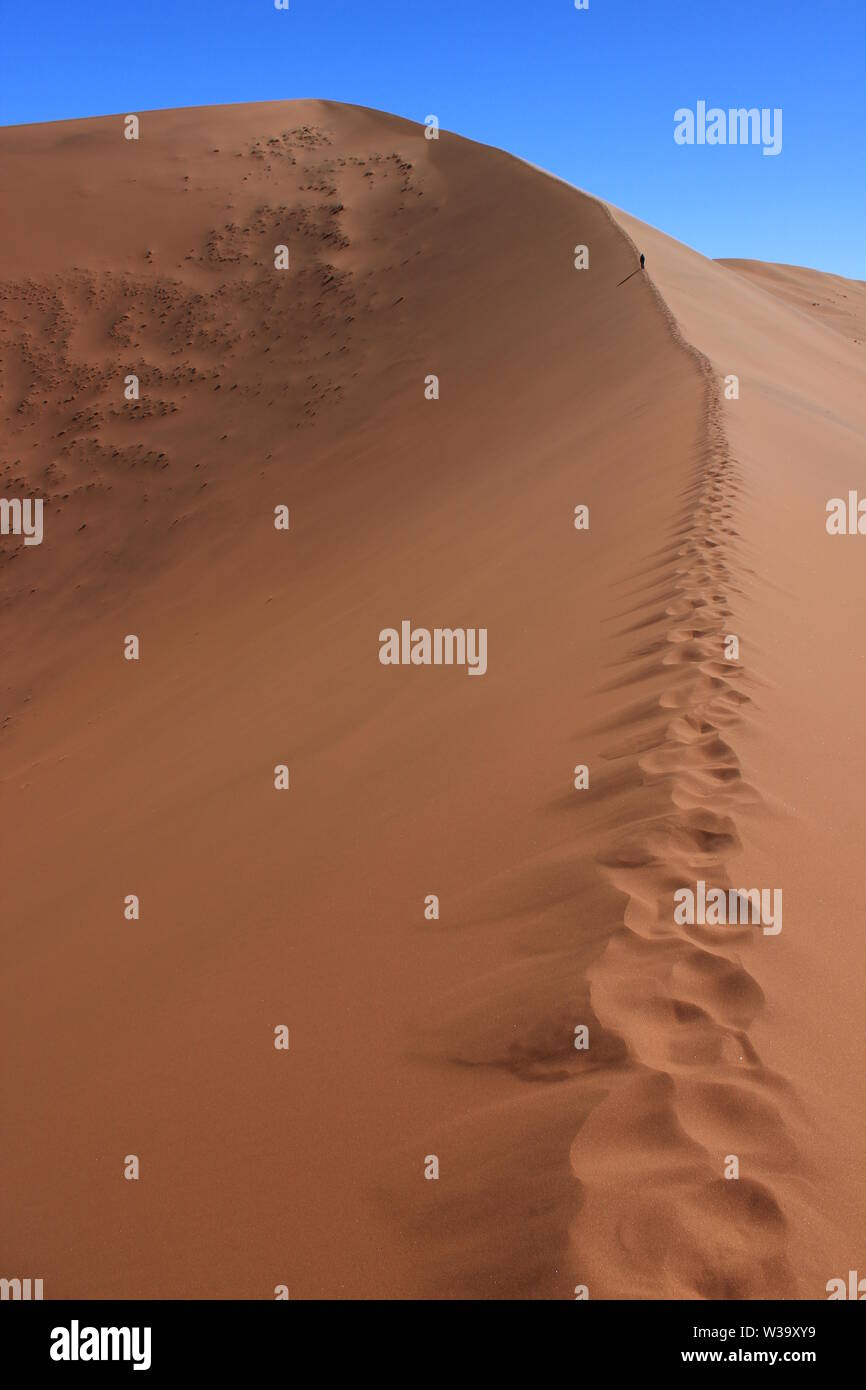 Tôt un matin de juillet, un chiffre qui laisse des empreintes de pas sur une dune géante au cœur de Sossuvlei, dans le désert du Namib (Namibie) Banque D'Images
