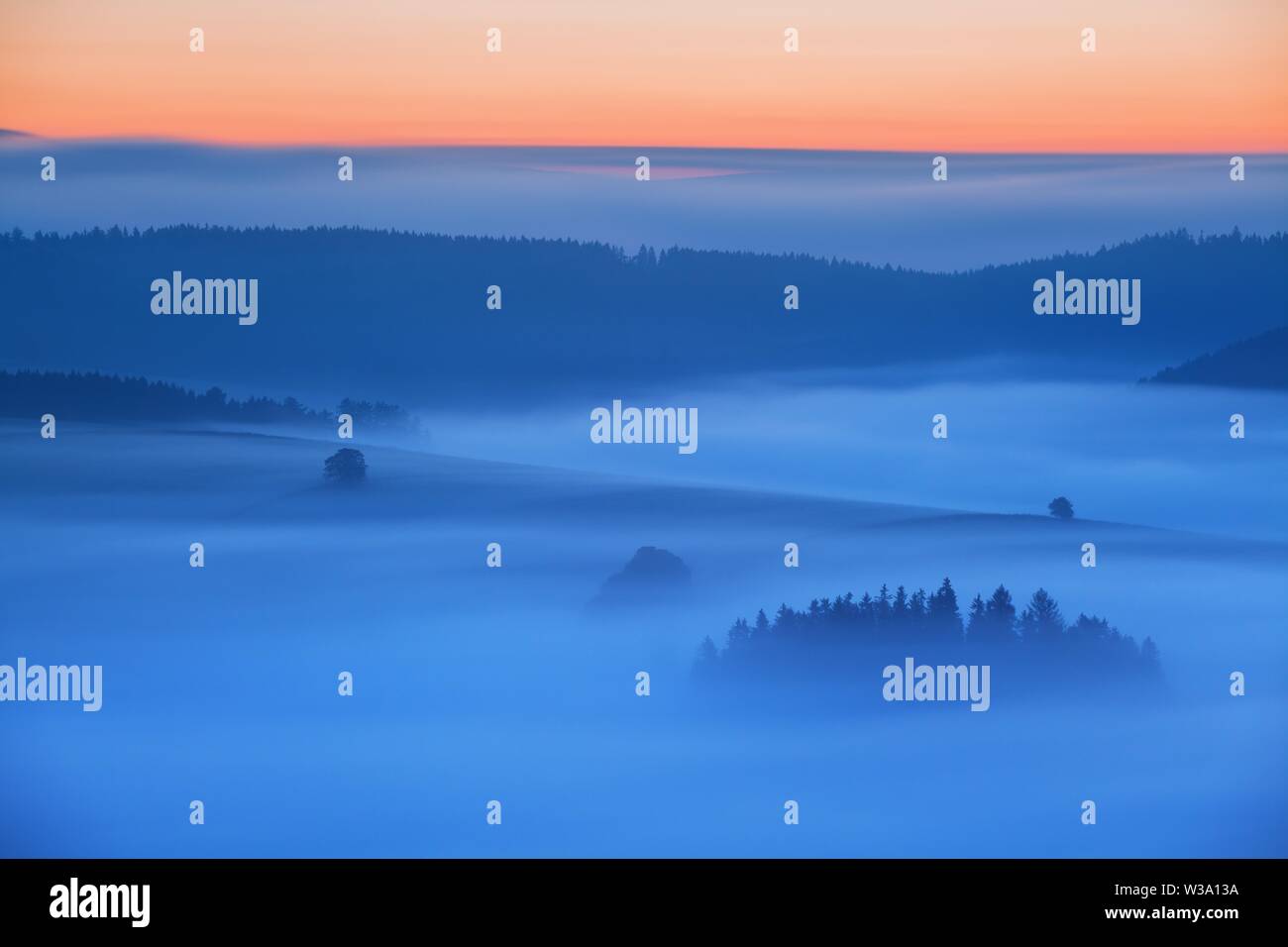 Lever de soleil sur le paysage brumeux. Vue panoramique sur Foggy Morning Sky avec soleil levant au-dessus de la forêt Misty. Nature de l'Europe au Moyen-été. Des montagnes fantastiques Banque D'Images