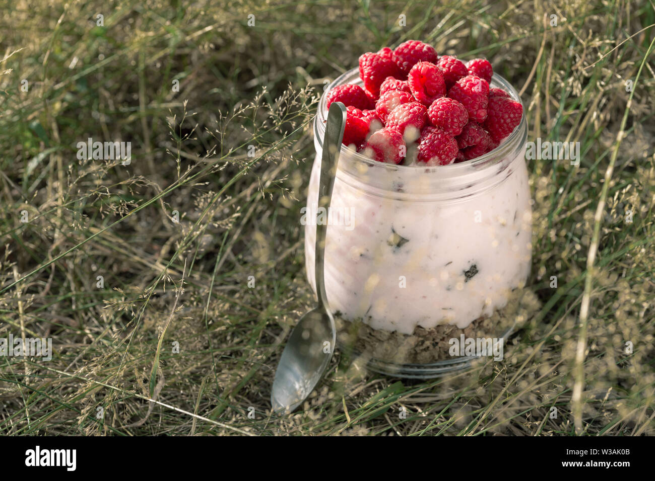 Le yogourt avec granola framboise fait maison dans un bocal en verre dans l'herbe Banque D'Images