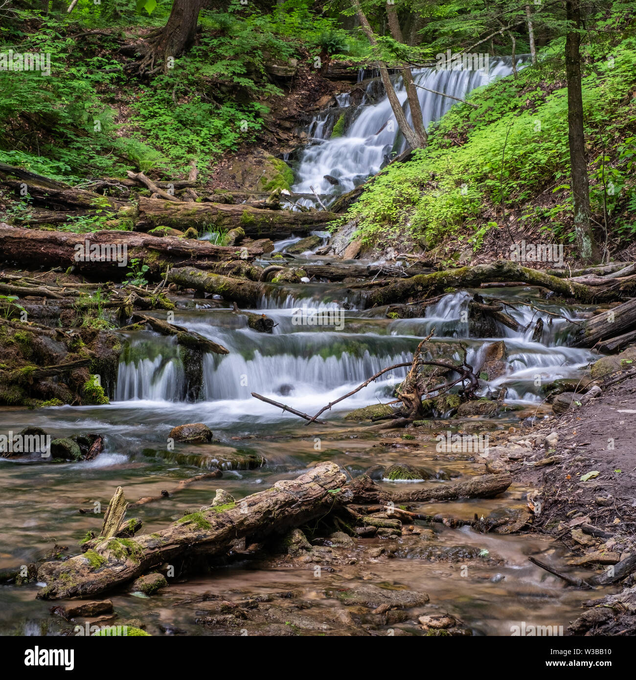 L'eau serpente à travers bois et rochers après avoir chuté en tisserands Creek Falls, près de Owen Sound, en Ontario. Banque D'Images